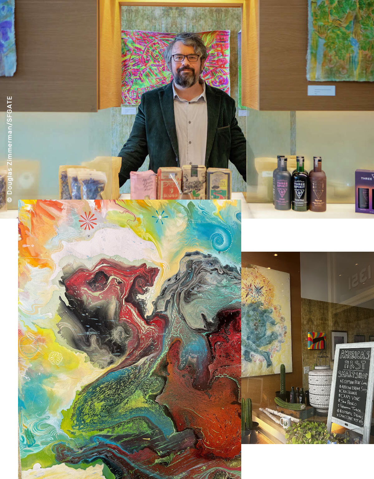 about-professor-seagulls-smartshop-san-francisco